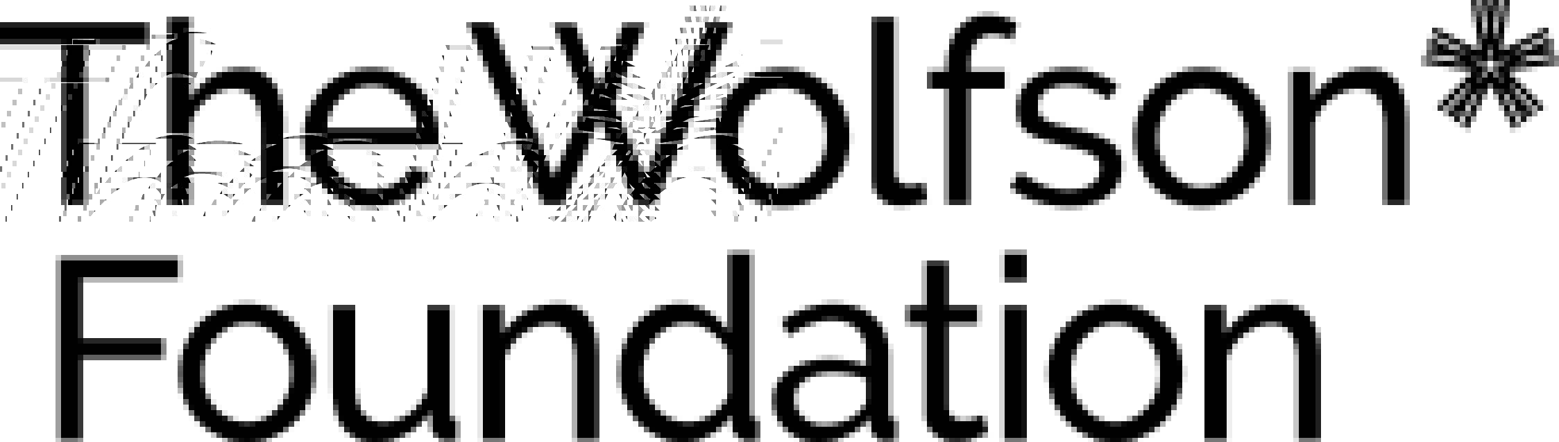 Wolfson Foundation logo